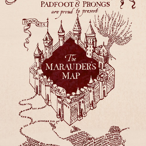 Enchanted Castle Map