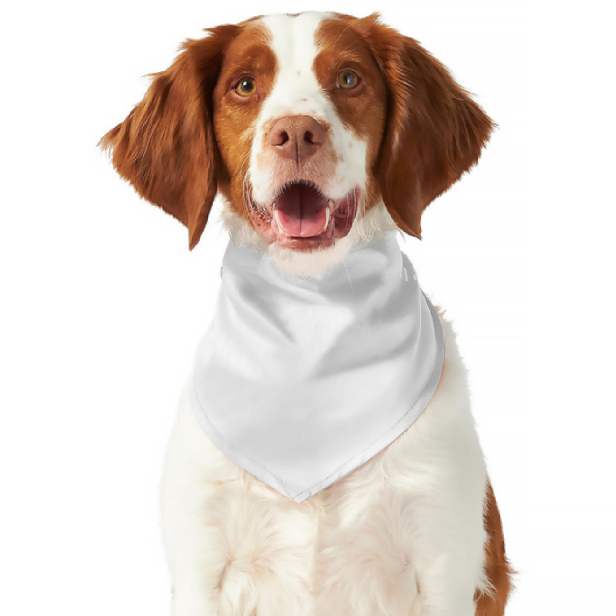 Pick Any Print from our Shop - Dog Bandana