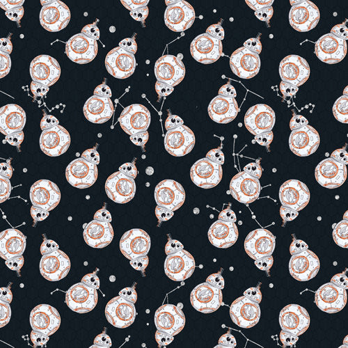 Droid In Space SW Inspired